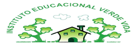 Instituto Educacional Verde Vida